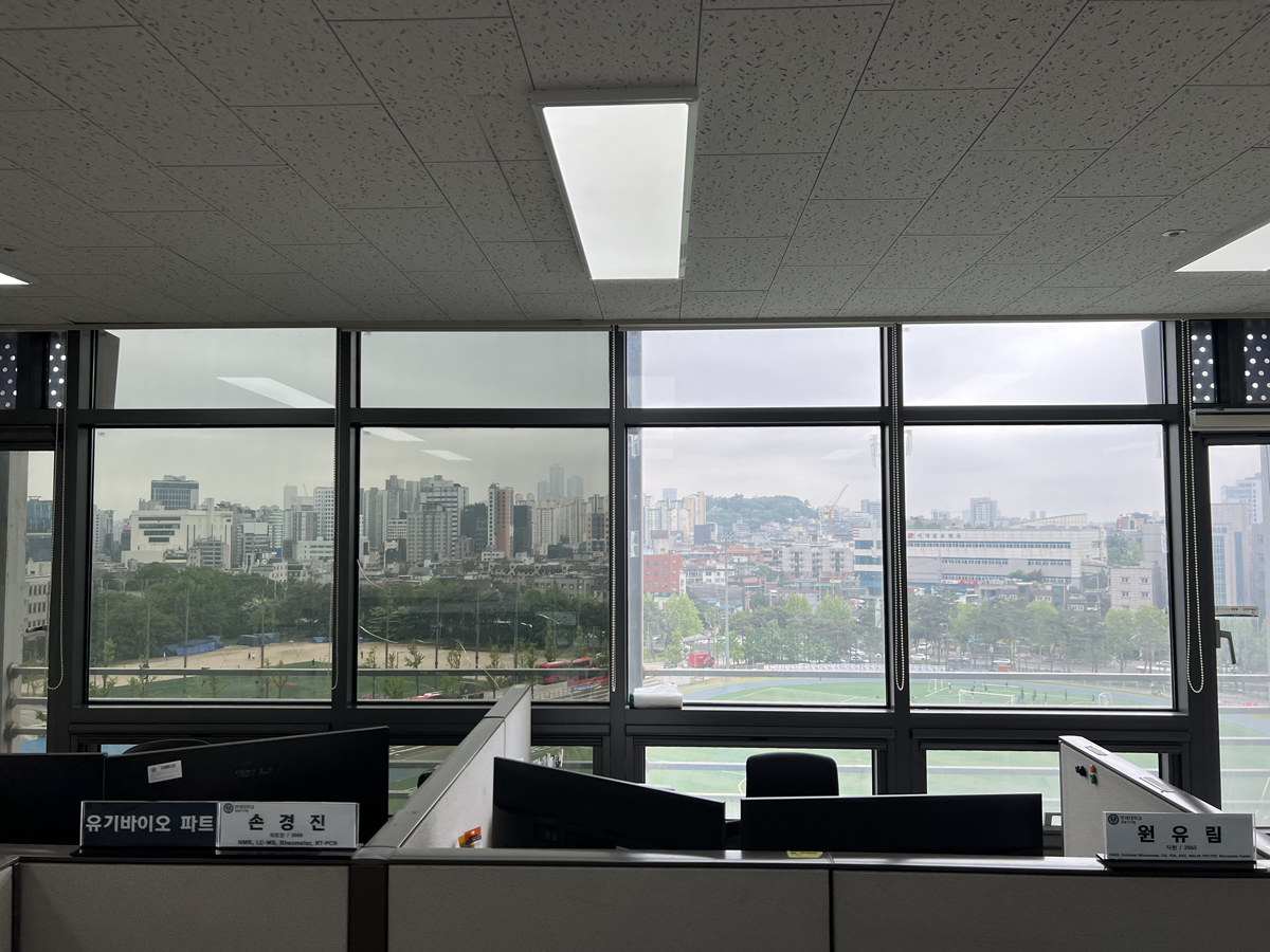 서울 햇빛차단필름 시공 2